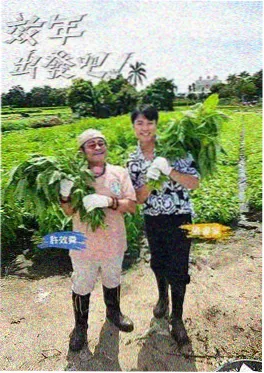 声音的重量综艺海报